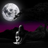 ������