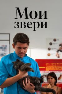 ��� ����� (1-4 �����)