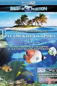 ��������� ������� 3D: ������������ ������ � ���������� ������� (2012)