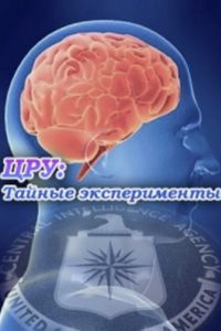 ���: ������ ������������ (2015)
