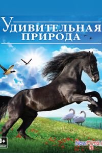 ������� ����: ����� �������� ����� ������ (2012)