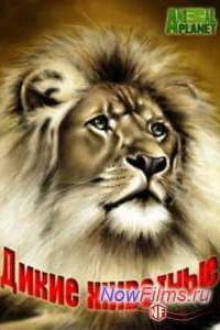 Animal Planet. ����� �������� (2014)
