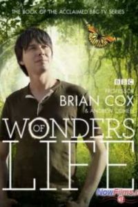 BBC: ������ ����� (2013)