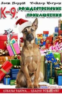 �-9: �������������� ����������� (2012)