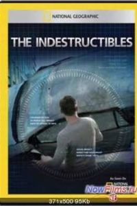 National Geographic. ������������ (2011)