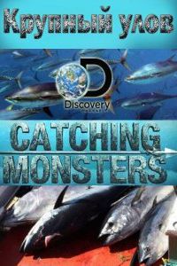 Discovery. ������� ���� (2015)