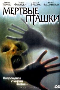 ������� ������ (2004)