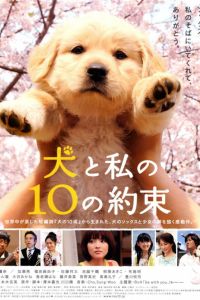 10 �������� ���� ������ (2008)