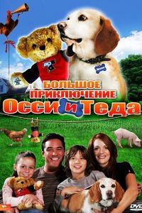 ������� ����������� ���� � ���� (2009)