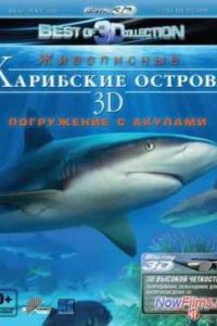 ��������� ������� 3D: ���������� � ������� (2012)