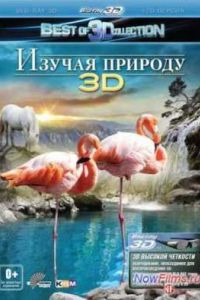 ������ ������� 3D (2012)