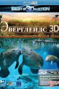 ���������� 3D: ��������� ����������� ���� (2012)