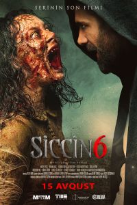 ������ 6 (2019)