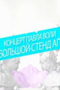 ����� ����. ������� stand-up ������� (2015)