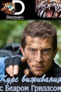 Discovery. ���� ��������� � ������ �������� (2015)