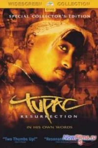 �����: ����������� (2003)