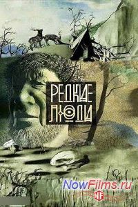 ������ ���� (2013)