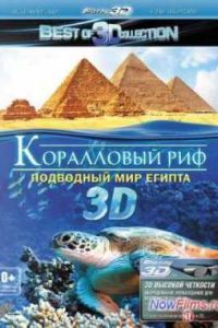 ���������� ��� 3D: ��������� ��� ������ (2012)