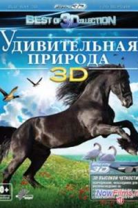 ������������ ������� 3D (2012)