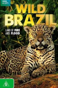 BBC. ����� �������� (2014)