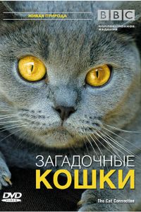 BBC: ���������� ����� (2002)