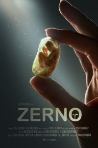 ����� (2016)
