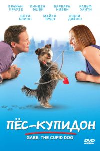 ���-������� (2012)