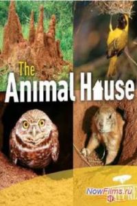 PBS: ������� - ��� �������� (2011)