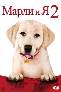 ����� � � 2 (2011)