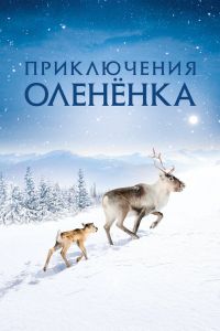 ����������� �������� (2018)