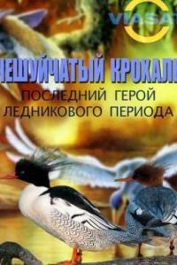 ���������� �������. ��������� ����� ����������� ������� (2011)