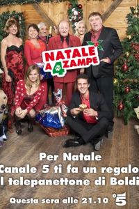 ���� ����� ��� ����� (2012)