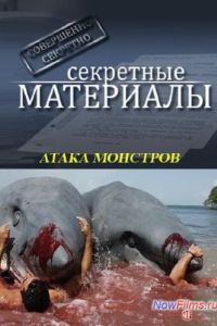 ��������� ��������� 12. ����� �������� (2013)
