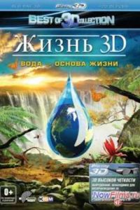 ����� 3D. ���� � ������ ����� (2012)