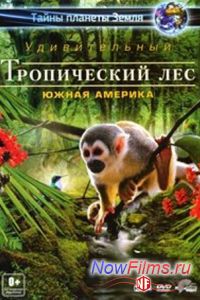 ����� ������� �����. ������������ ����������� ���: ����� ������� (2012)