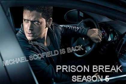������ 5 ����� (2015) ������������
